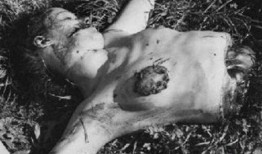 黑色大丽花在线观看,暗夜中的惊悚悬疑之旅