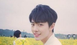 娱乐圈爆料肖战恋情曝光,娱乐圈新恋情引发热议